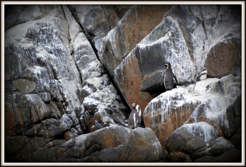 Инки, горы...и картошка. 16 дней в Перу.