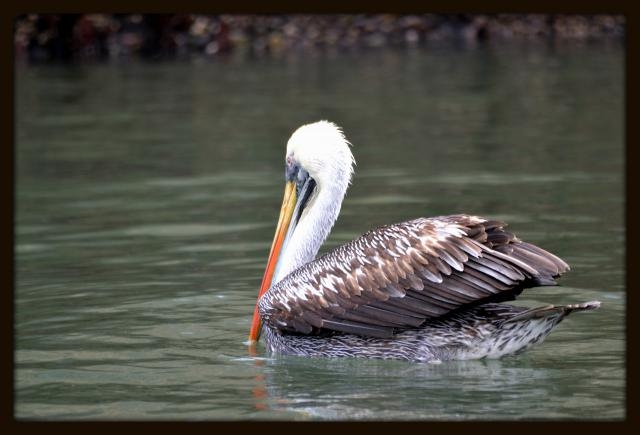 Инки, горы...и картошка. 16 дней в Перу.