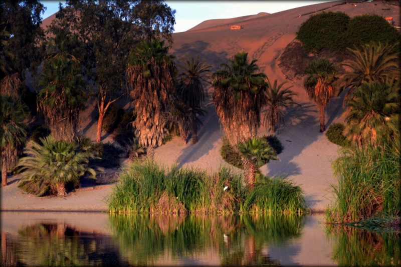 Инки, горы...и картошка. 16 дней в Перу.