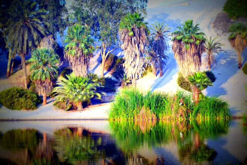 Инки, горы...и картошка. 16 дней в Перу.