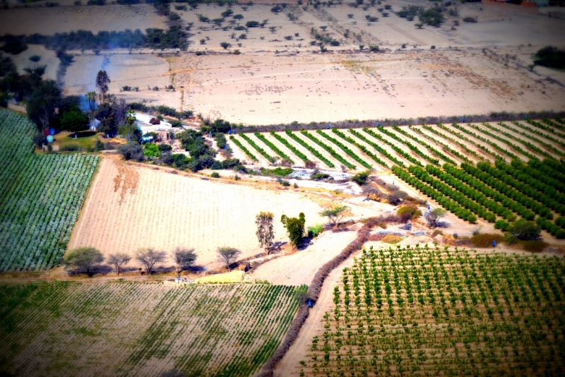 Инки, горы...и картошка. 16 дней в Перу.