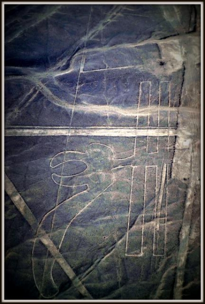 Инки, горы...и картошка. 16 дней в Перу.