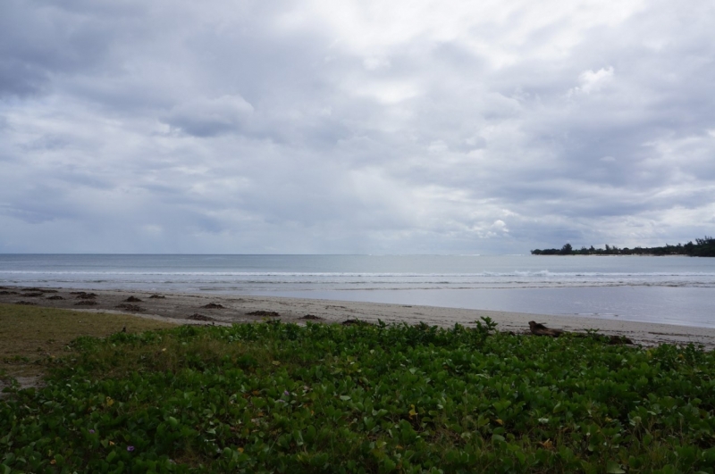 Маврикий. Май 2014.