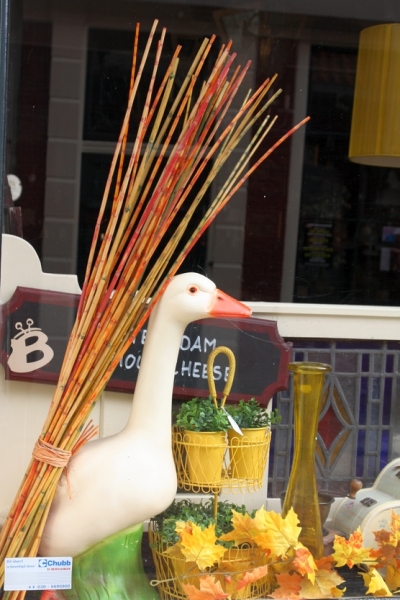 Европейская прелюдия осени в обнимку с фотоаппаратом!