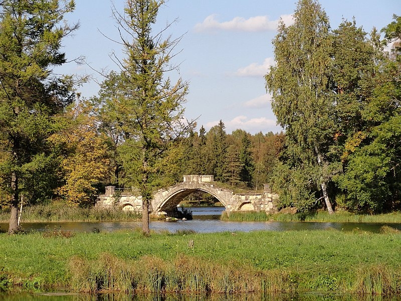 13 ночей в Петербурге.