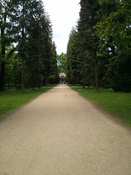 Берлин, откуда ты такой?!