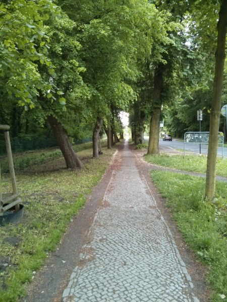 Берлин, откуда ты такой?!