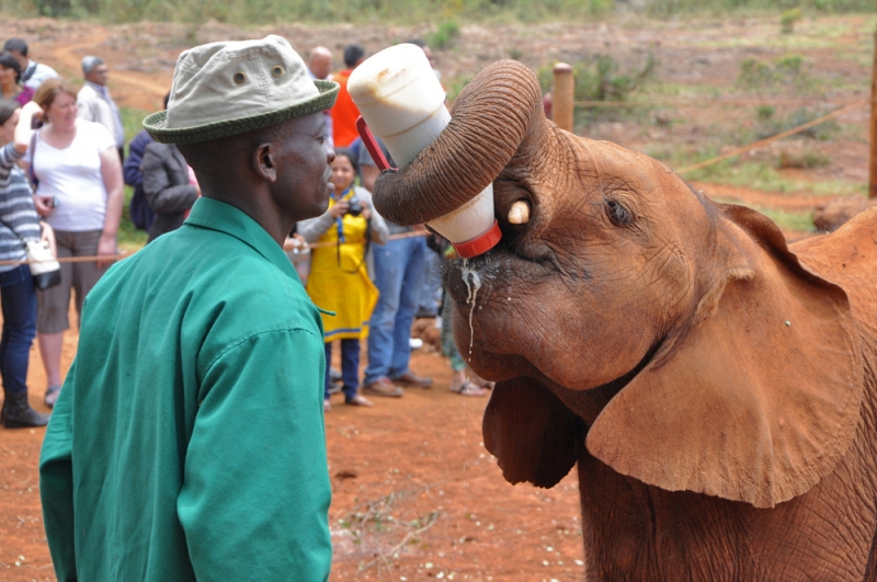 Kenya 2014