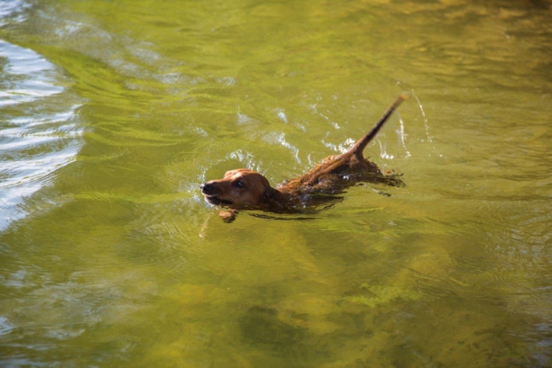 Литва - сельский туризм