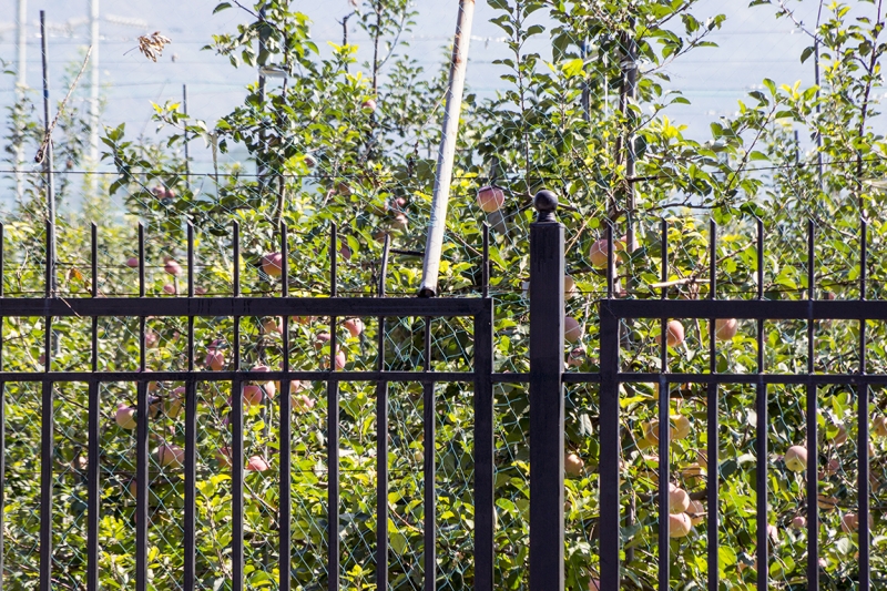 Пекин-Гуанчжоу-Гонконг октябрь 2014