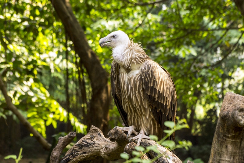 Пекин-Гуанчжоу-Гонконг октябрь 2014