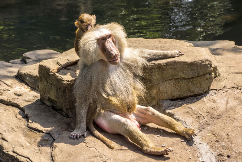 Пекин-Гуанчжоу-Гонконг октябрь 2014