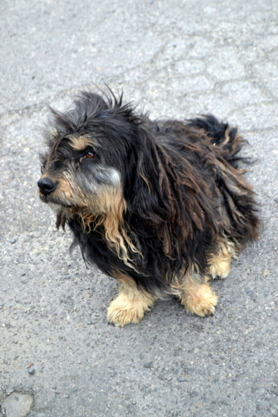 Инки, горы...и картошка. 16 дней в Перу.