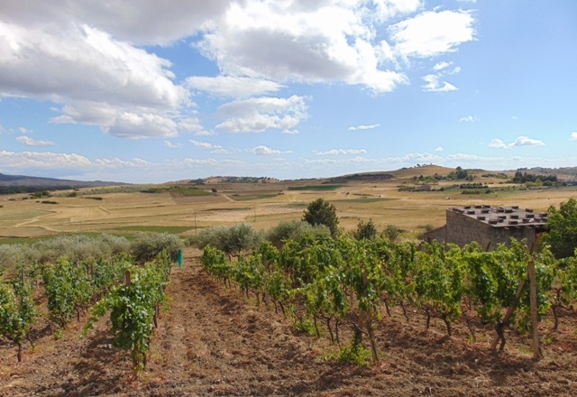 Мой "кусочек" Сицилии! июль 2014.