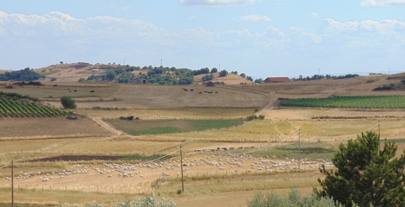 Мой "кусочек" Сицилии! июль 2014.