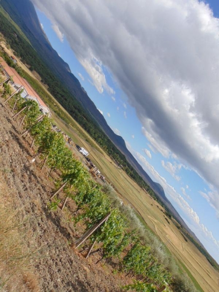 Мой "кусочек" Сицилии! июль 2014.