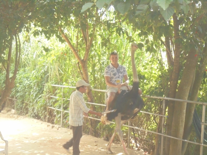 Вьетнам сентябрь 2014 солнце воздух и вода наши лучшие друзья)