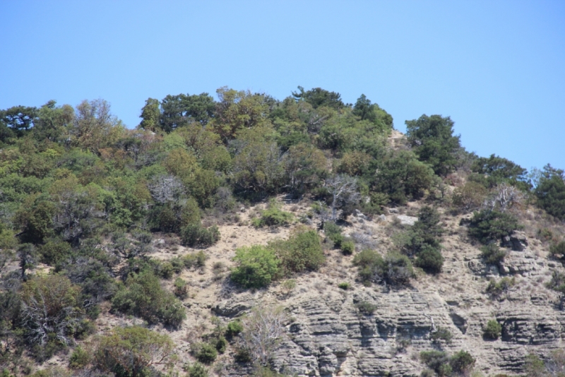 Две недели на ЮБК конец июля - начало августа 2014 или (Ялта - город счастья)