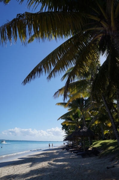 Маврикий. Май 2014.