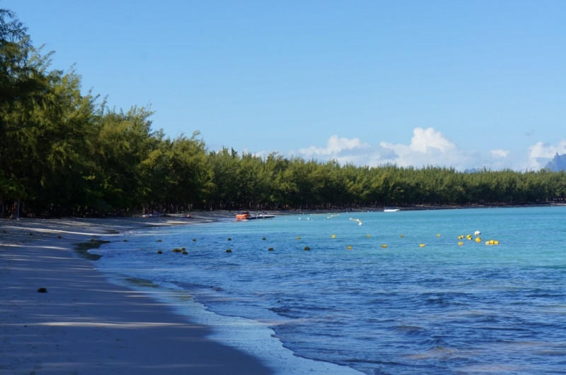 Маврикий. Май 2014.