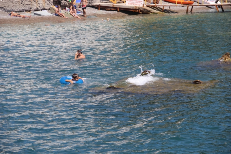 Две недели на ЮБК конец июля - начало августа 2014 или (Ялта - город счастья)
