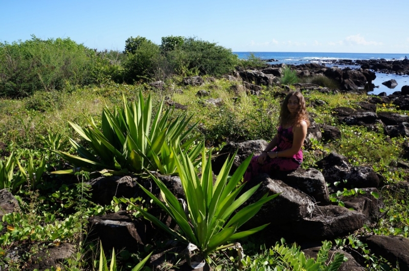 Маврикий. Май 2014.