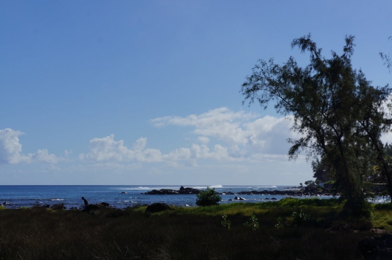 Маврикий. Май 2014.