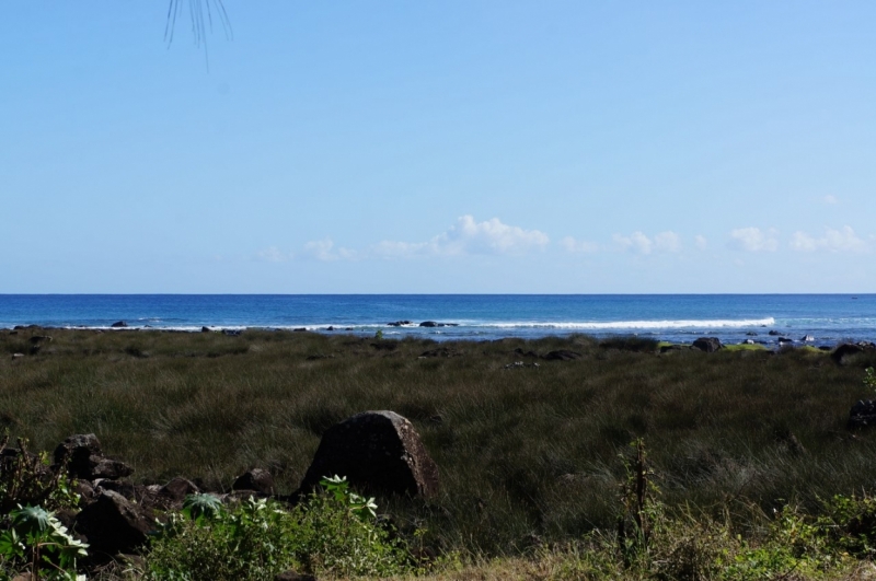 Маврикий. Май 2014.