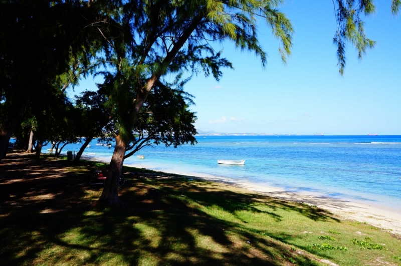 Маврикий. Май 2014.