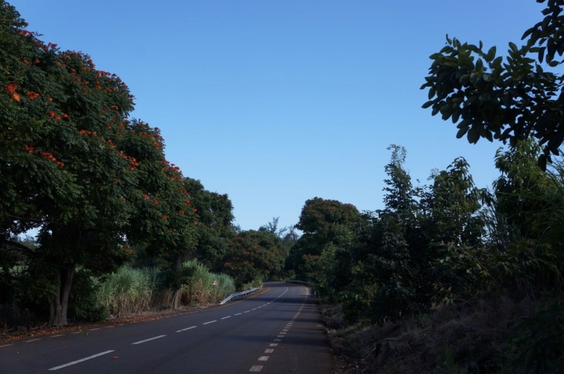 Маврикий. Май 2014.