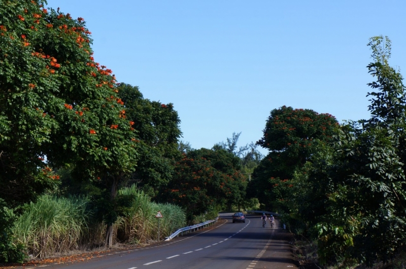 Маврикий. Май 2014.