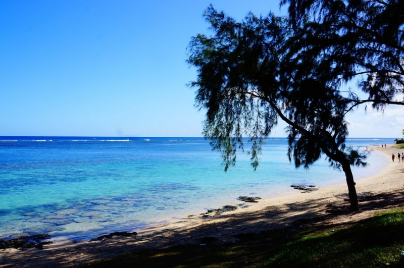 Маврикий. Май 2014.