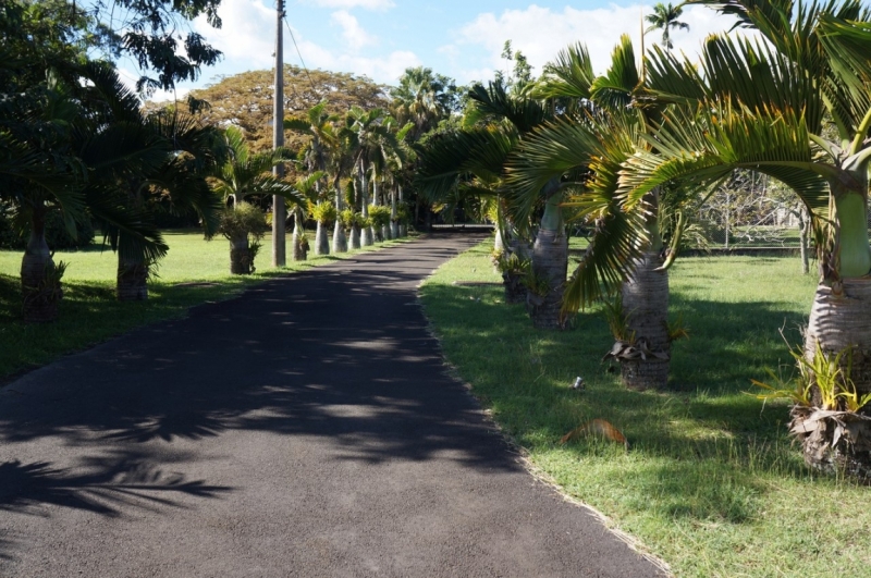 Маврикий. Май 2014.