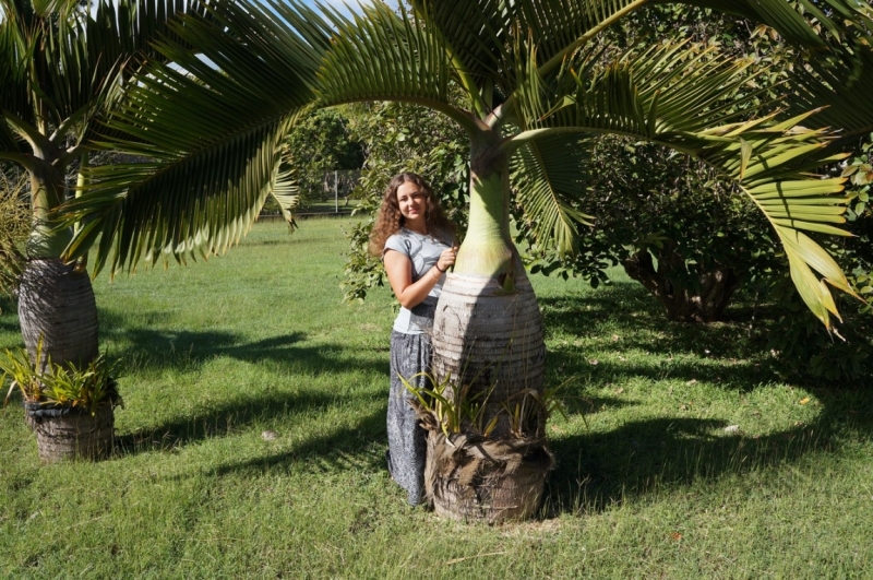 Маврикий. Май 2014.