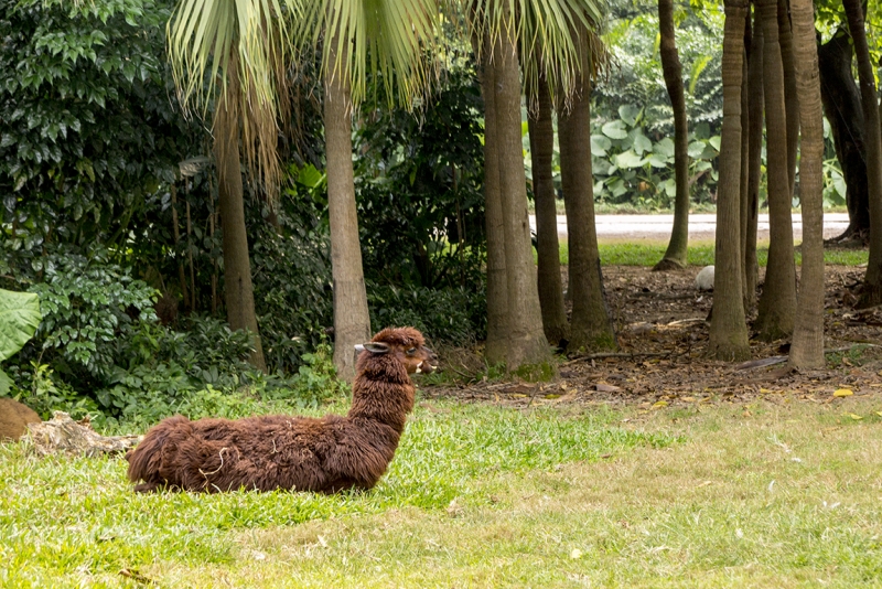 Пекин-Гуанчжоу-Гонконг октябрь 2014