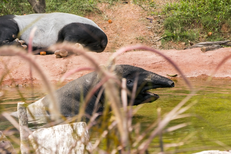 Пекин-Гуанчжоу-Гонконг октябрь 2014