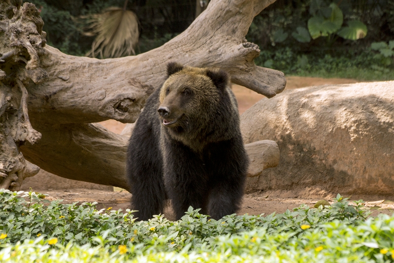 Пекин-Гуанчжоу-Гонконг октябрь 2014