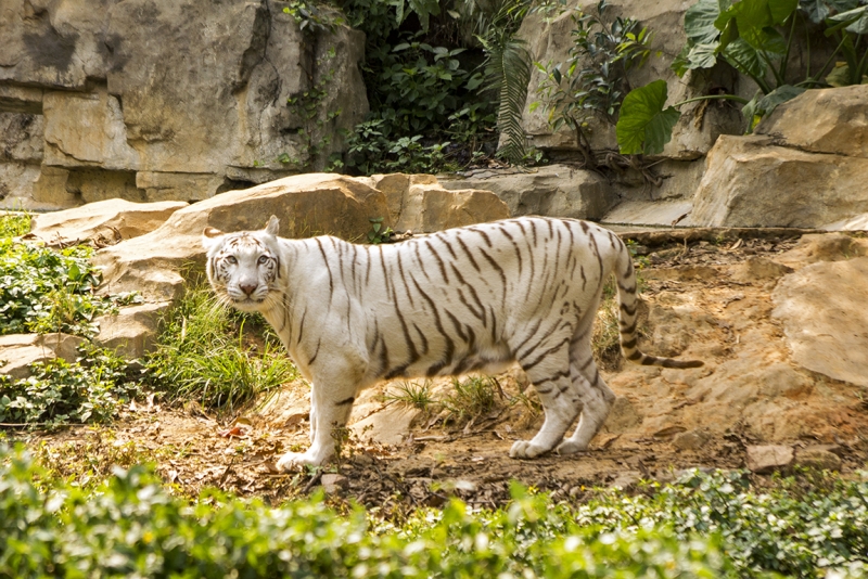 Пекин-Гуанчжоу-Гонконг октябрь 2014