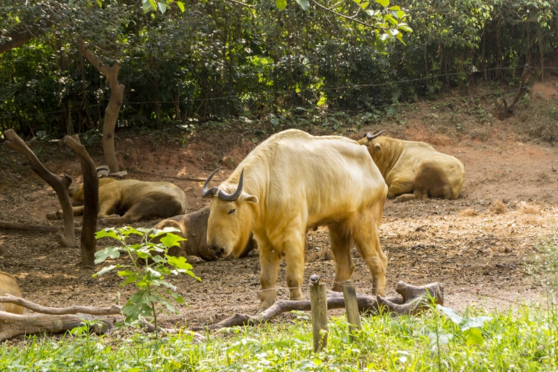 Пекин-Гуанчжоу-Гонконг октябрь 2014