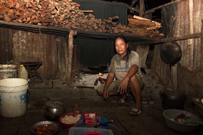 Папуа (племена короваев + Raja Ampat), на авто восточная и центральная Ява (фото).