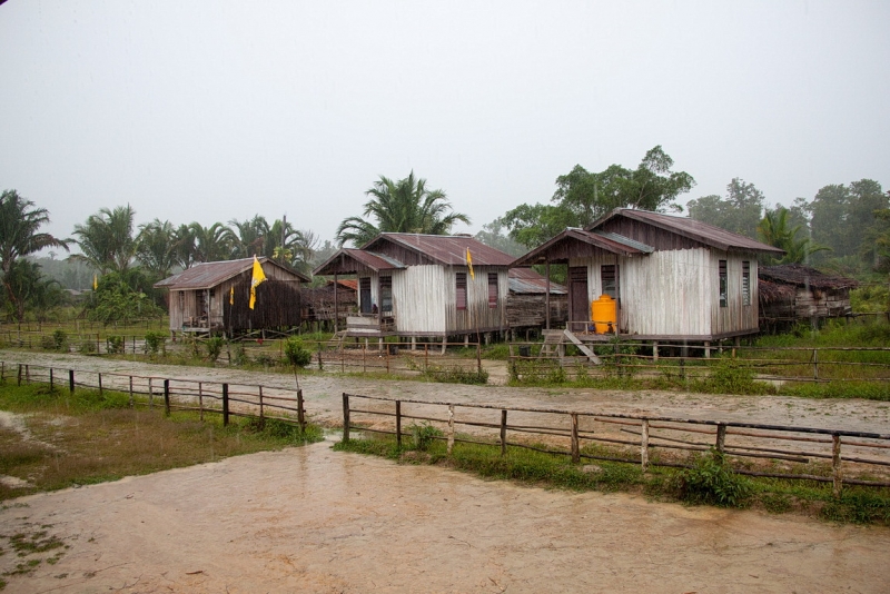 Папуа (племена короваев + Raja Ampat), на авто восточная и центральная Ява (фото).