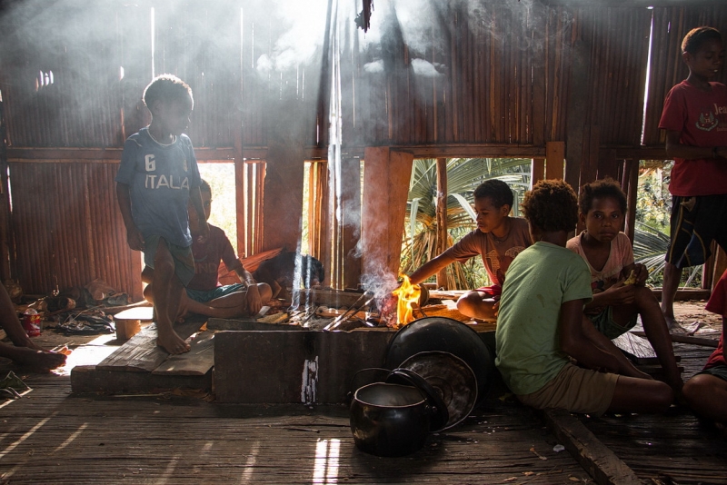 Папуа (племена короваев + Raja Ampat), на авто восточная и центральная Ява (фото).