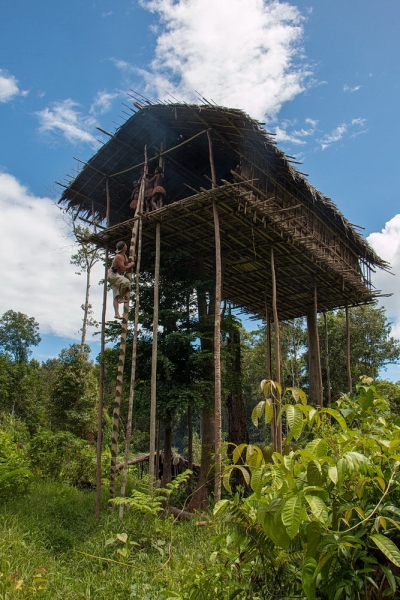 Папуа (племена короваев + Raja Ampat), на авто восточная и центральная Ява (фото).