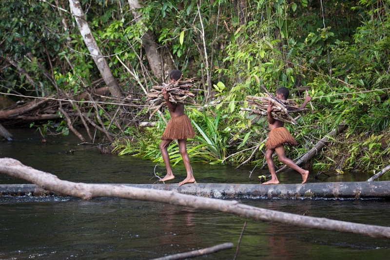 Папуа (племена короваев + Raja Ampat), на авто восточная и центральная Ява (фото).