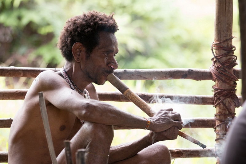 Папуа (племена короваев + Raja Ampat), на авто восточная и центральная Ява (фото).