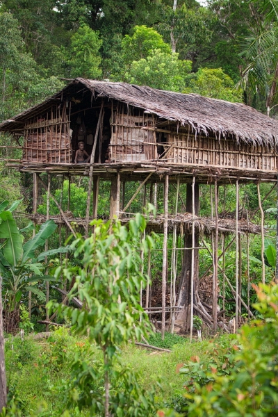 Папуа (племена короваев + Raja Ampat), на авто восточная и центральная Ява (фото).