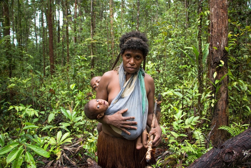 Папуа (племена короваев + Raja Ampat), на авто восточная и центральная Ява (фото).