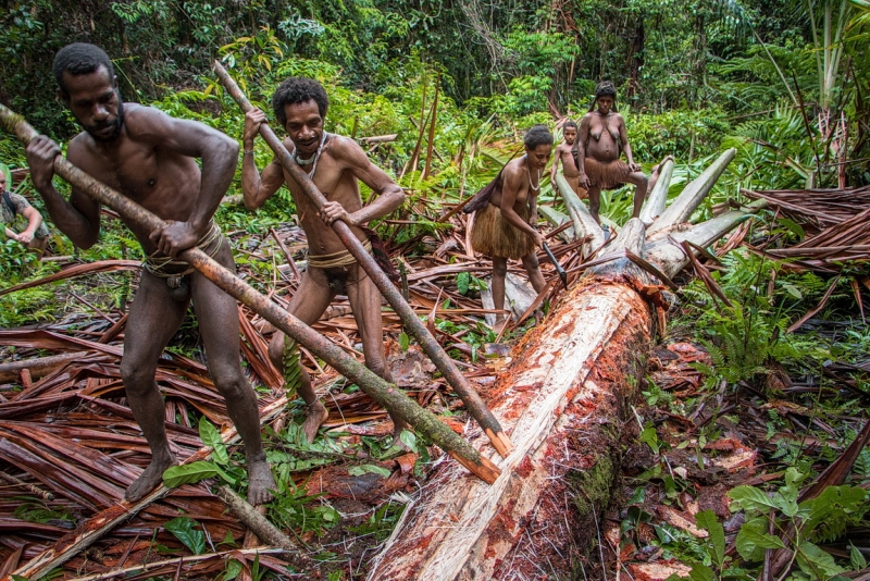 Папуа (племена короваев + Raja Ampat), на авто восточная и центральная Ява (фото). Папуа (племена короваев + Raja Ampat), на авто восточная и центральная Ява (фото).