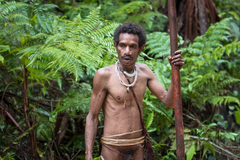 Папуа (племена короваев + Raja Ampat), на авто восточная и центральная Ява (фото).