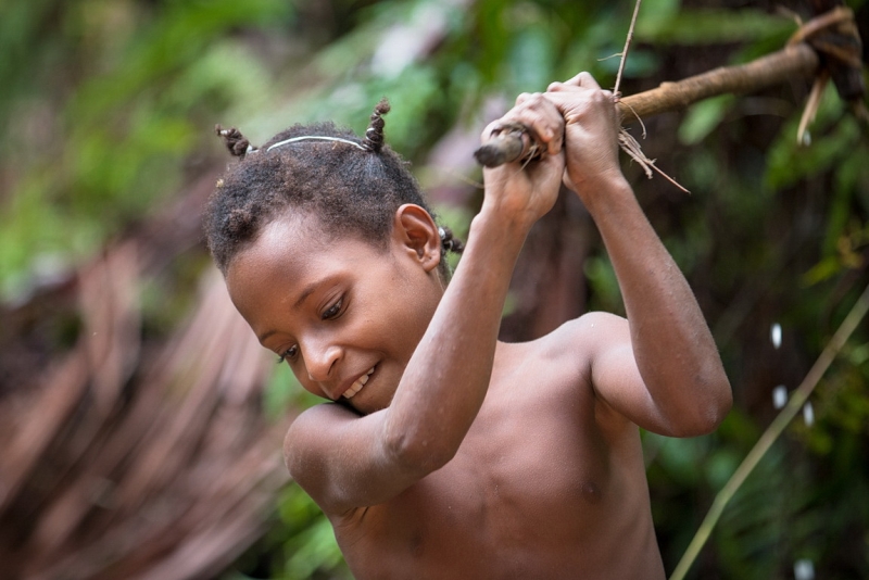 Папуа (племена короваев + Raja Ampat), на авто восточная и центральная Ява (фото).